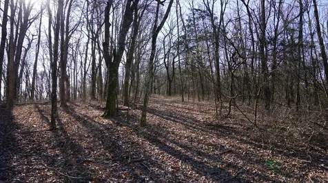 0 Hickory Ridge Trail Columbia TN 38401