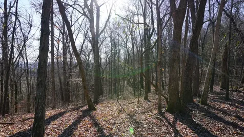 0 Hickory Ridge Trail Columbia TN 38401