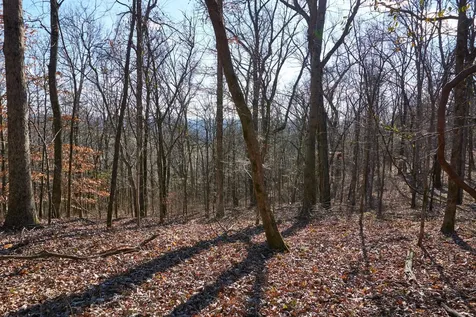 0 Hickory Ridge Trail Columbia TN 38401