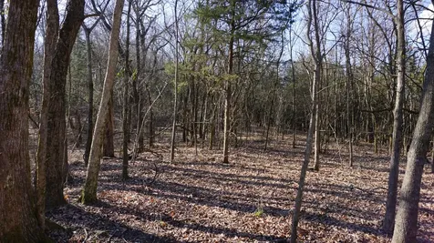 0 Hickory Ridge Trail Columbia TN 38401