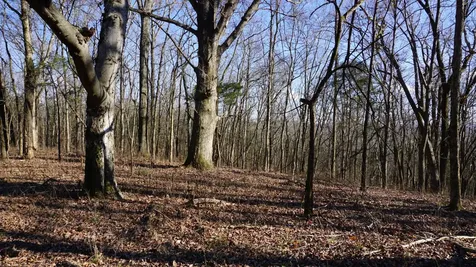 0 Hickory Ridge Trail Columbia TN 38401