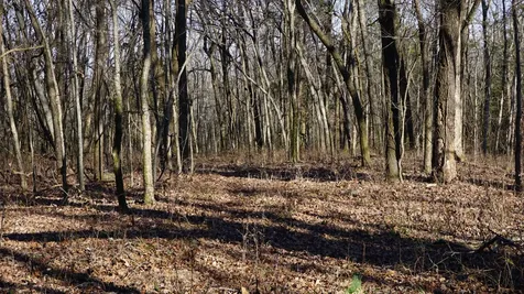 0 Hickory Ridge Trail Columbia TN 38401