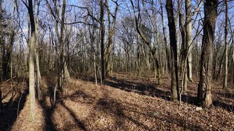 0 Hickory Ridge Trail Columbia TN 38401