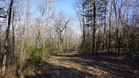 0 Hickory Ridge Trail Columbia TN 38401