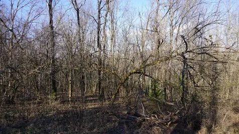 0 Hickory Ridge Trail Columbia TN 38401