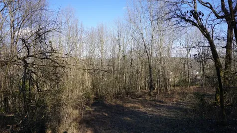 0 Hickory Ridge Trail Columbia TN 38401