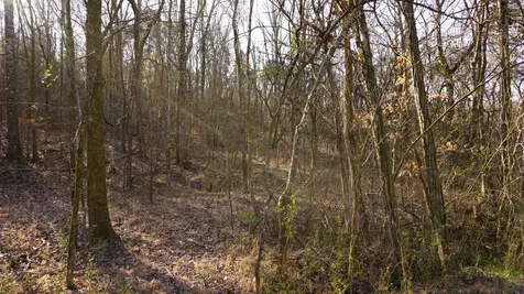 0 Hickory Ridge Trail Columbia TN 38401
