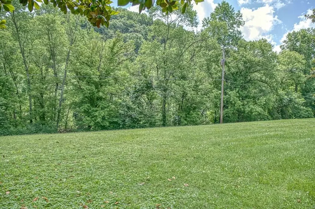 1221 Obey Drive Celina TN 38551