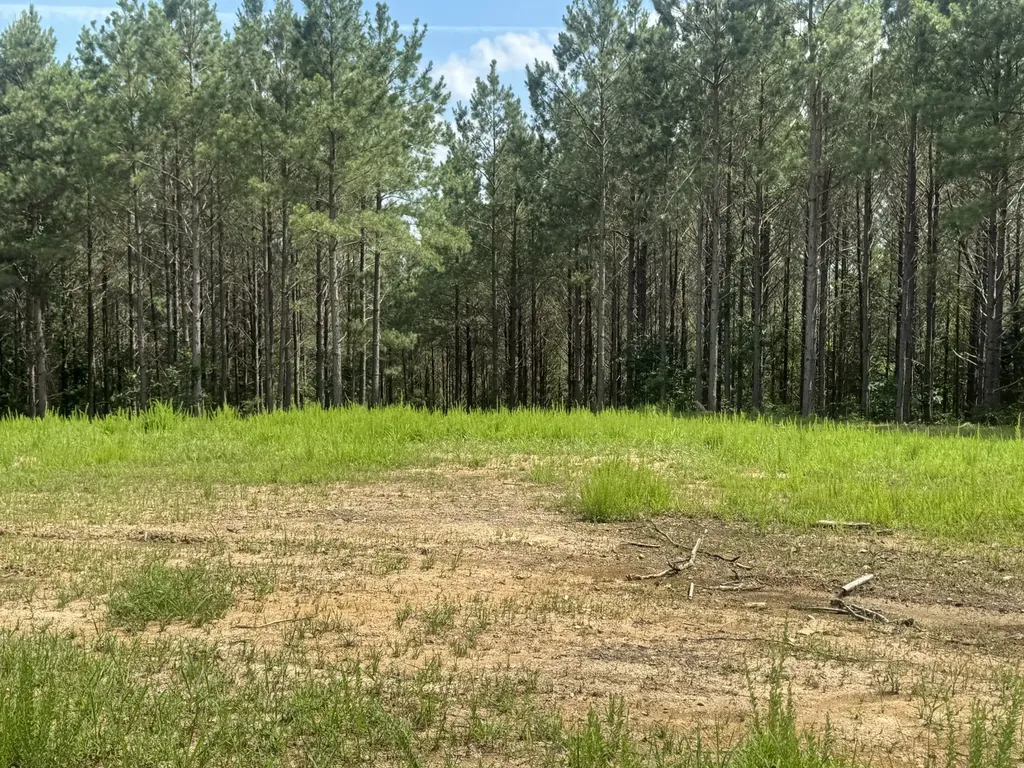 0 Rustic Pines Road Dover TN 37058
