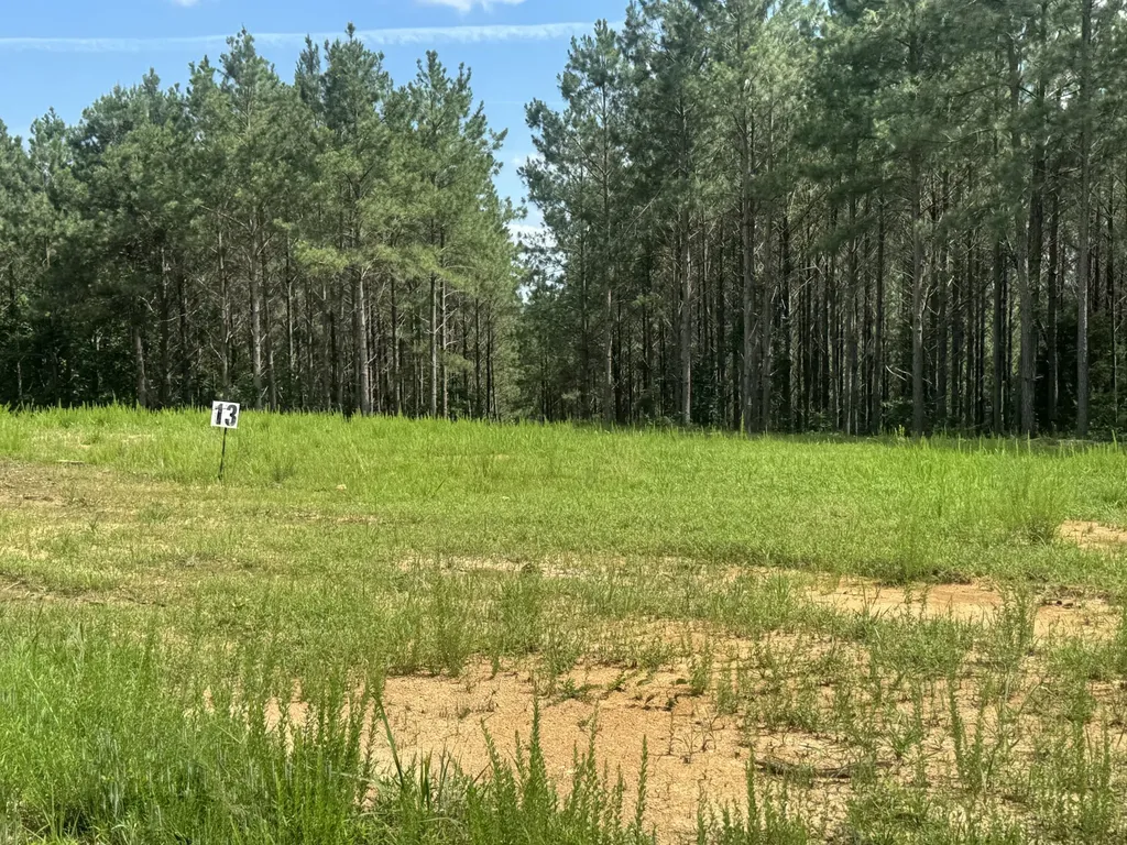 0 Rustic Pines Road Dover TN 37058