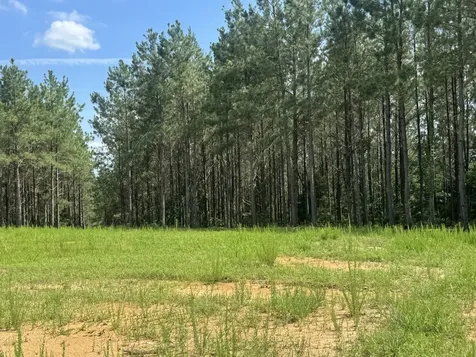 0 Rustic Pines Road Dover TN 37058