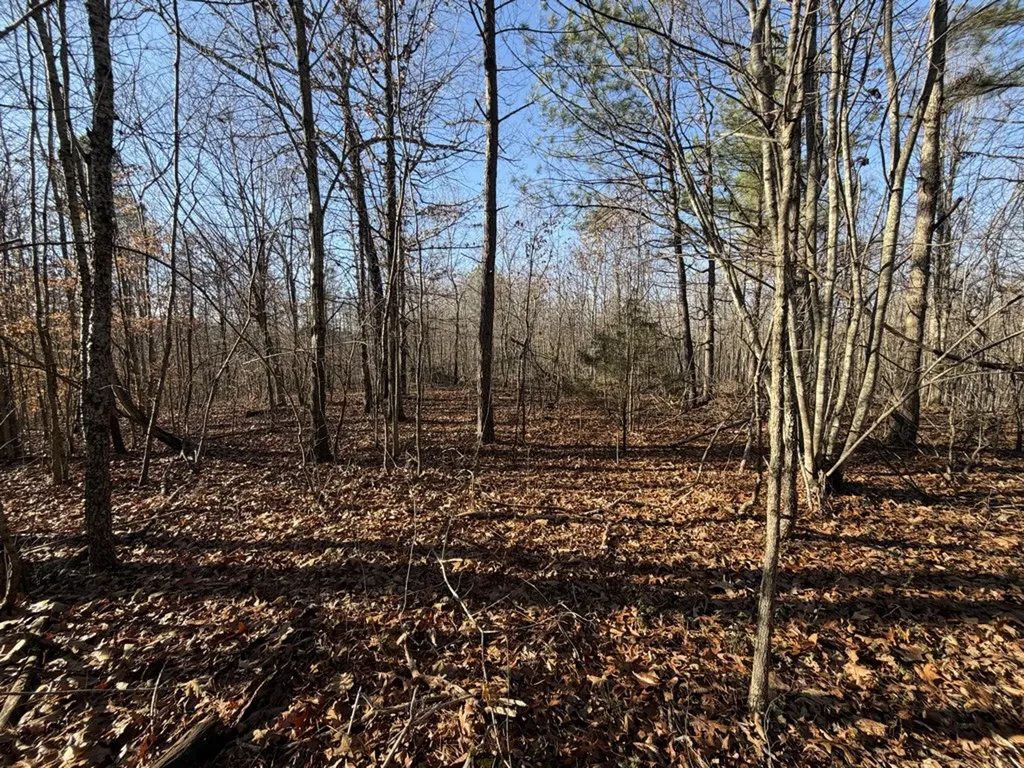 0 Hatley Road Lyles TN 37098