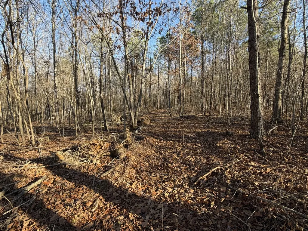 0 Hatley Road Lyles TN 37098
