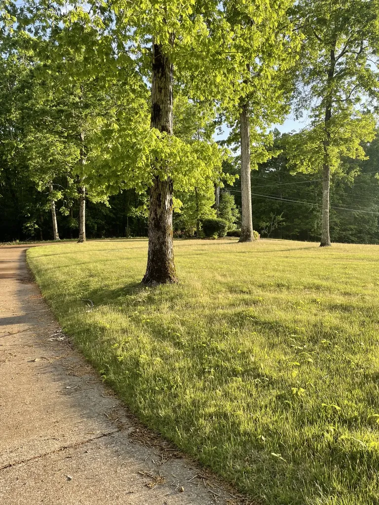 287 Michael Drive Waynesboro TN 38485