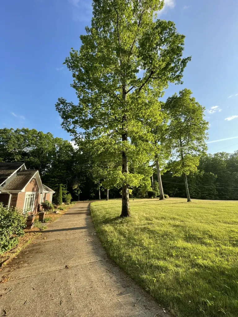 287 Michael Drive Waynesboro TN 38485