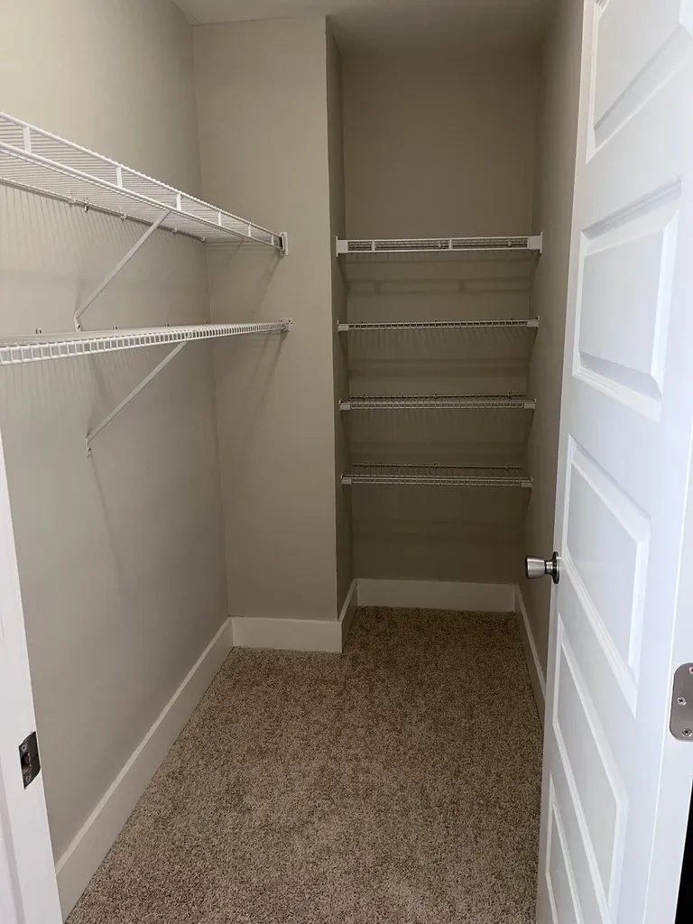 8011 Tuberose Court Spring Hill TN 37174