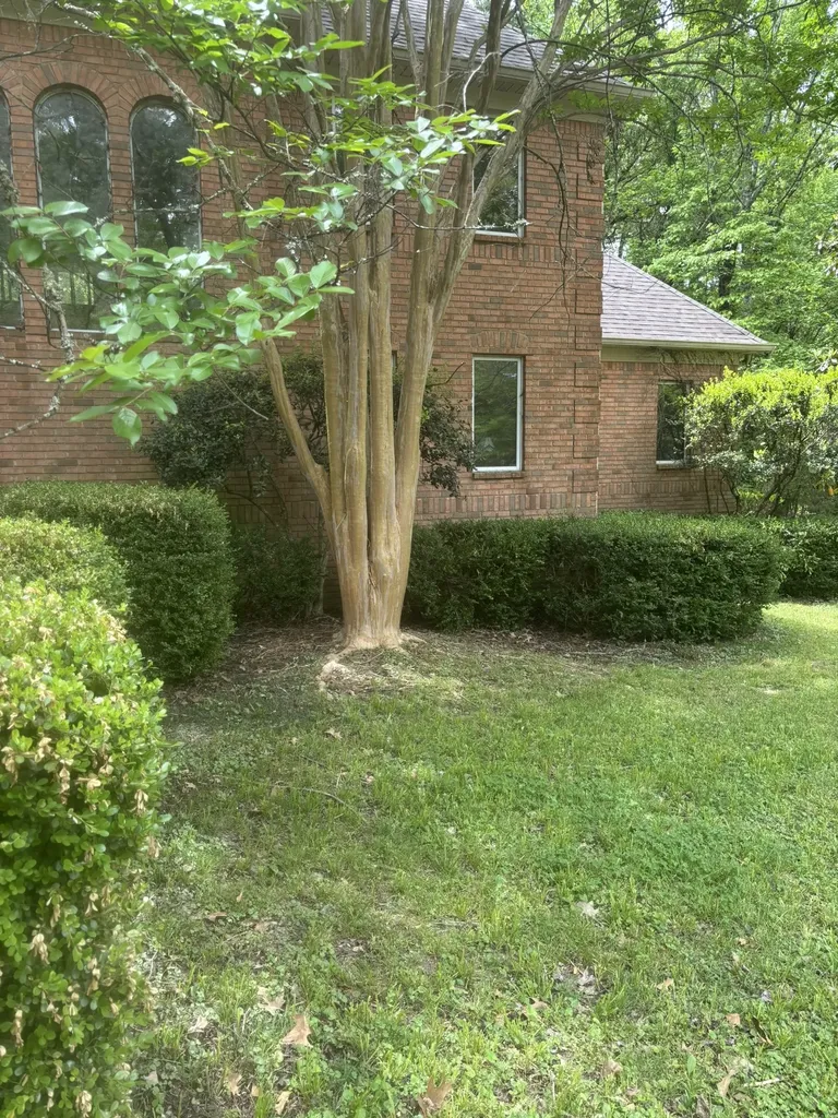 3921 Windolyn Cir, S Bartlett TN 38133