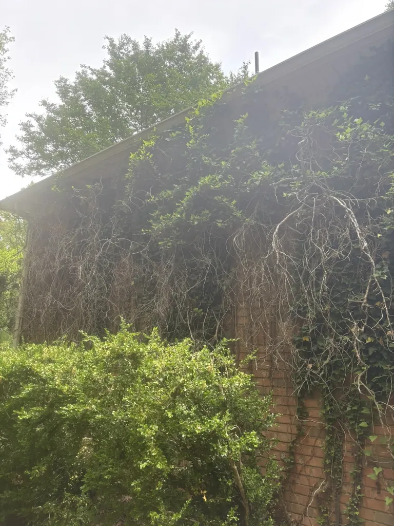 3921 Windolyn Cir, S Bartlett TN 38133