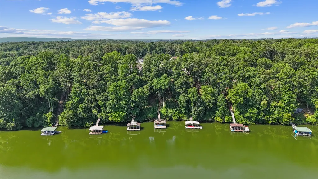 336 Bjs Landing Estill Springs TN 37330