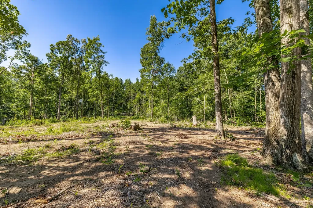 0 Belcher Hollow Road Cottontown TN 37048