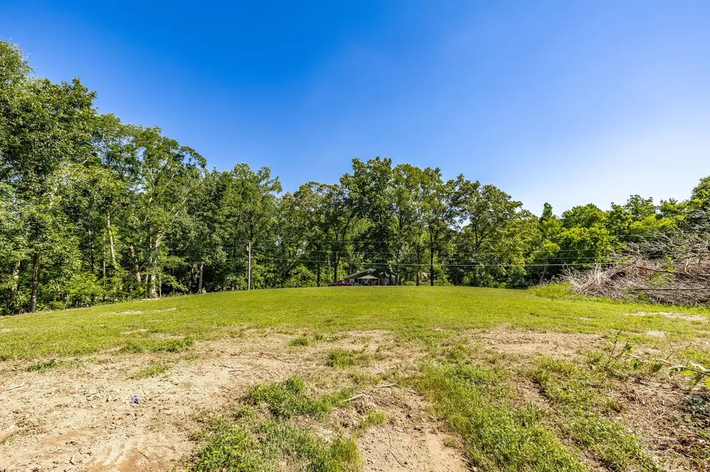 0 Belcher Hollow Road Cottontown TN 37048