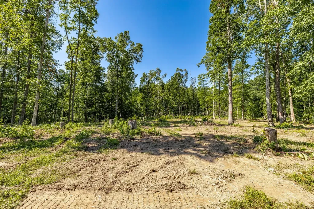 0 Belcher Hollow Road Cottontown TN 37048