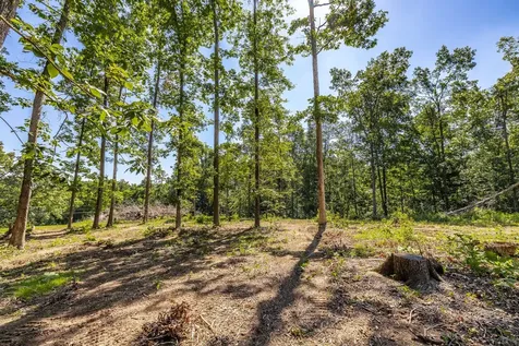 0 Belcher Hollow Road Cottontown TN 37048