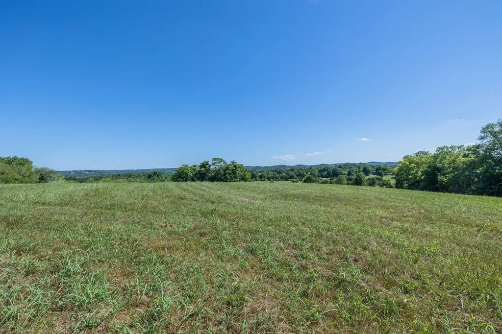 1065 Bugscuffle Road Wartrace TN 37183