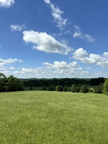 1065 Bugscuffle Road Wartrace TN 37183