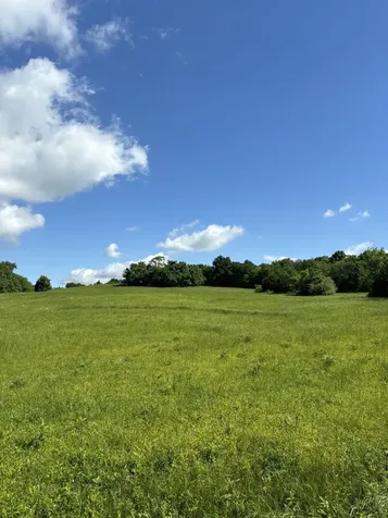 1065 Bugscuffle Road Wartrace TN 37183