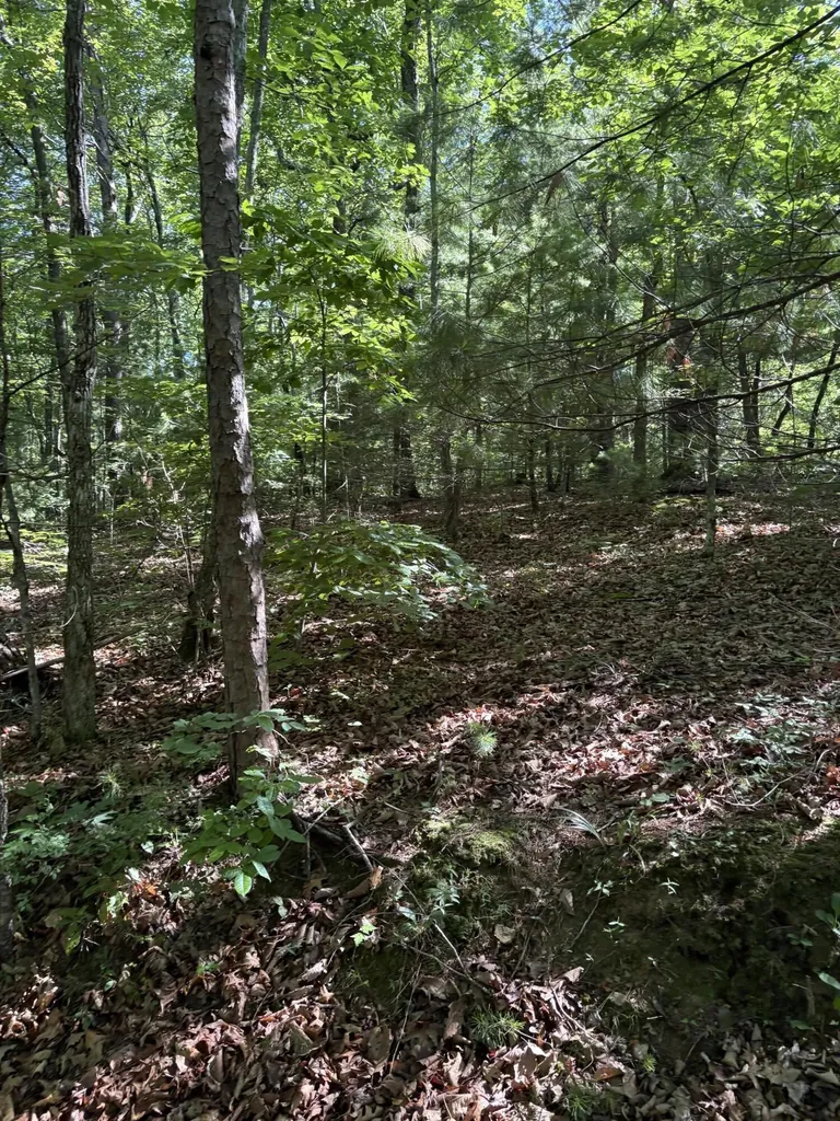 3 Old Furnace Road Tellico Plains TN 37385