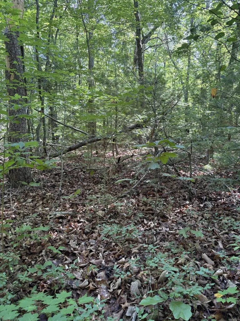 3 Old Furnace Road Tellico Plains TN 37385