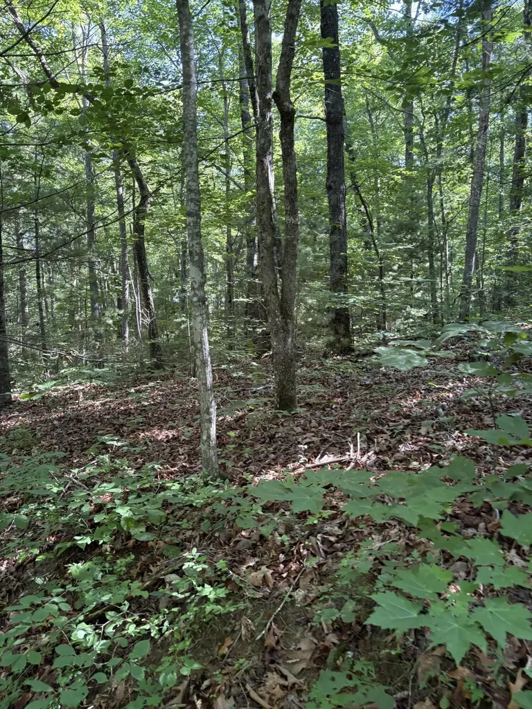 3 Old Furnace Road Tellico Plains TN 37385