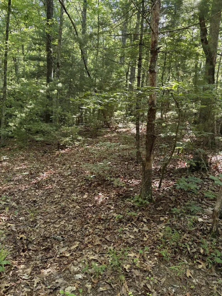 3 Old Furnace Road Tellico Plains TN 37385