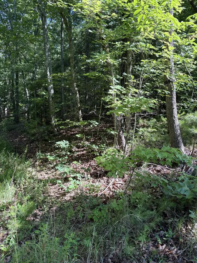 3 Old Furnace Road Tellico Plains TN 37385