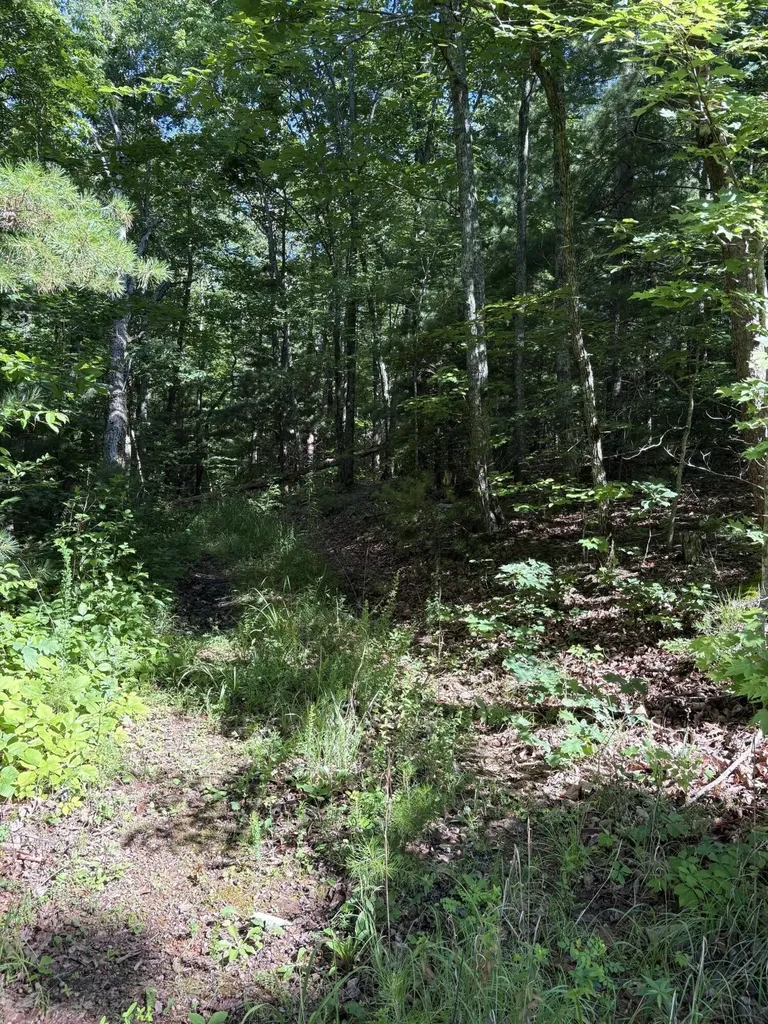 3 Old Furnace Road Tellico Plains TN 37385
