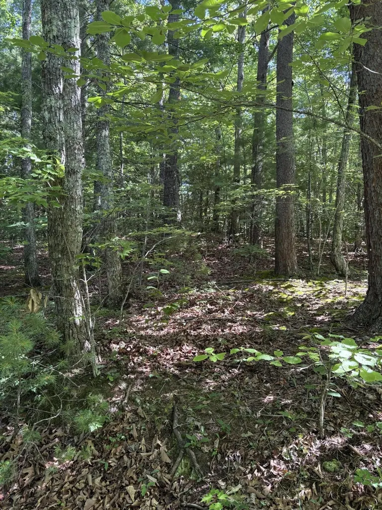 3 Old Furnace Road Tellico Plains TN 37385