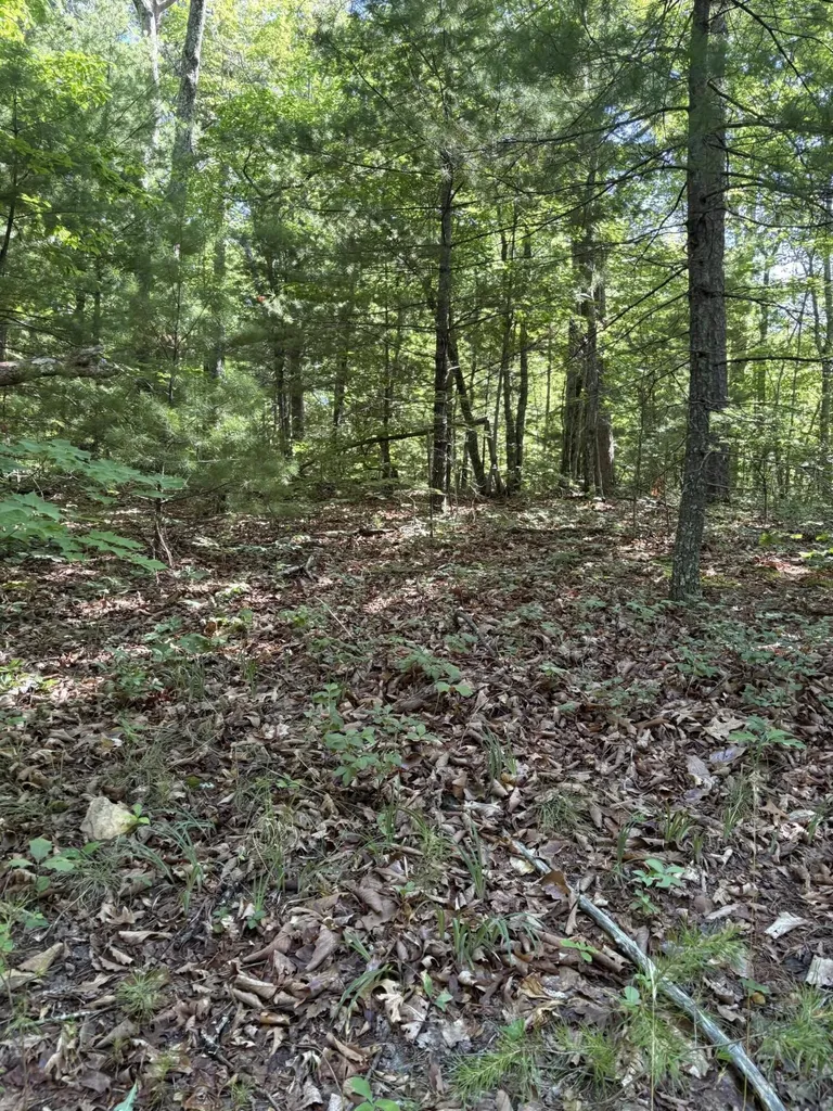 3 Old Furnace Road Tellico Plains TN 37385