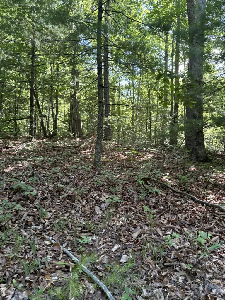 3 Old Furnace Road Tellico Plains TN 37385