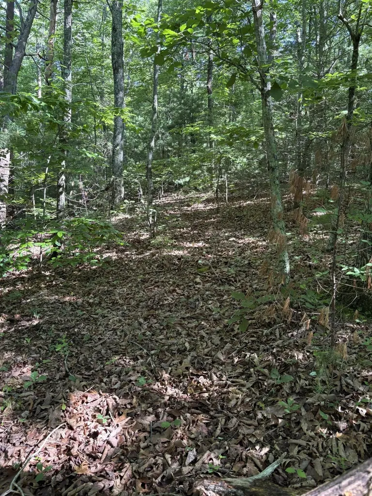 3 Old Furnace Road Tellico Plains TN 37385