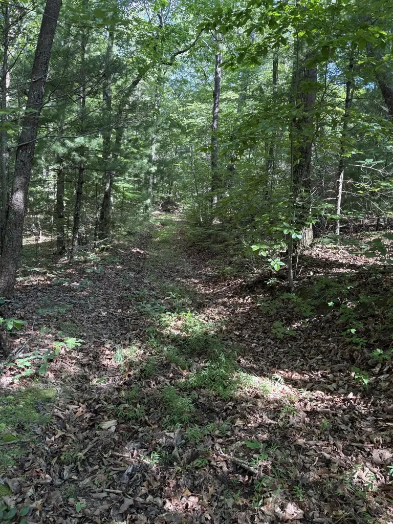 3 Old Furnace Road Tellico Plains TN 37385
