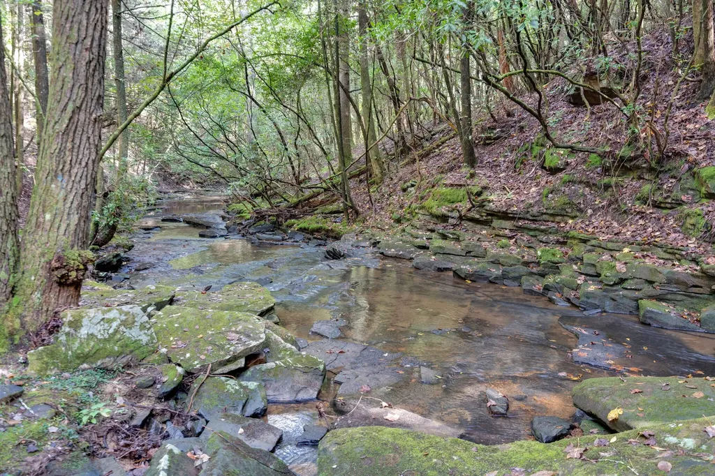 308 Timberwood Trc Monteagle TN 37356