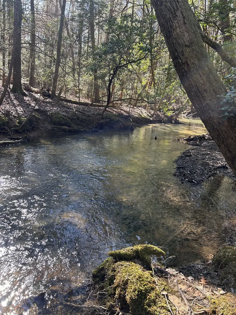 308 Timberwood Trc Monteagle TN 37356