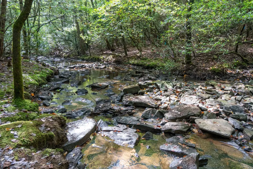308 Timberwood Trc Monteagle TN 37356