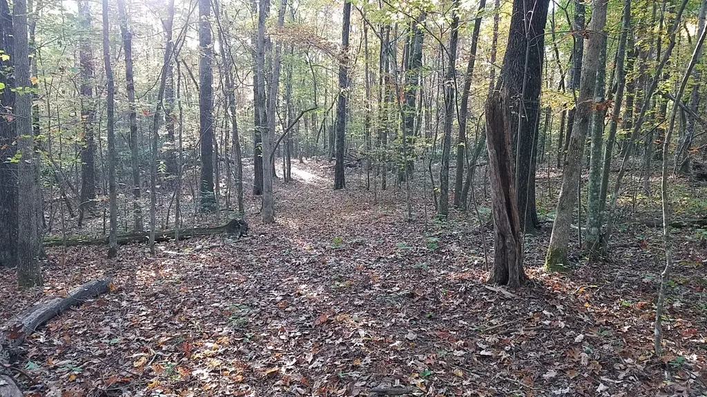 308 Timberwood Trc Monteagle TN 37356