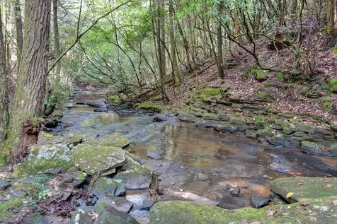 308 Timberwood Trc Monteagle TN 37356