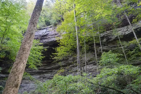 308 Timberwood Trc Monteagle TN 37356
