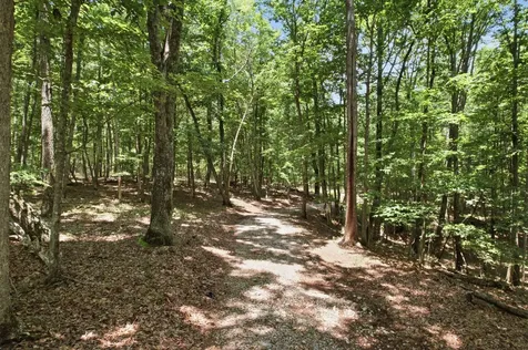 308 Timberwood Trc Monteagle TN 37356