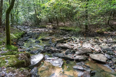 308 Timberwood Trc Monteagle TN 37356