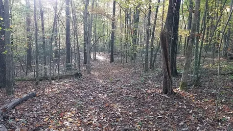 308 Timberwood Trc Monteagle TN 37356